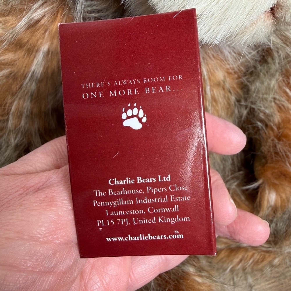 Bonfire Toffee 17.5" 2023 Charlie Bears Plush Collection Limited Edition Bear - Picture 6 of 16